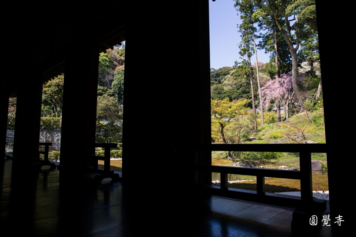 ｛分享｝鎌倉古寺神社探訪