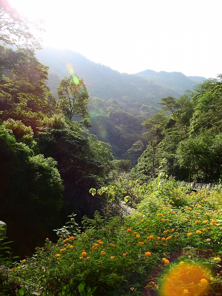 帶著Nikon P900去旅遊：迷霧森林、18度C、熊大庄、涼山瀑布、鳥松濕地及高通通農民市集，P900記錄精彩。