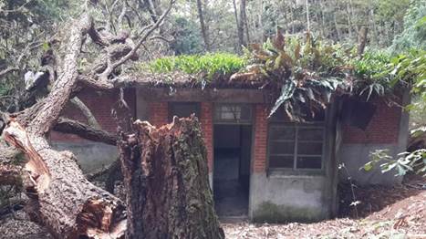 山上初登場：與武陵四秀的大山對話（下）