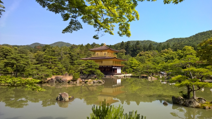 Lumia 1520 日本行照片分享