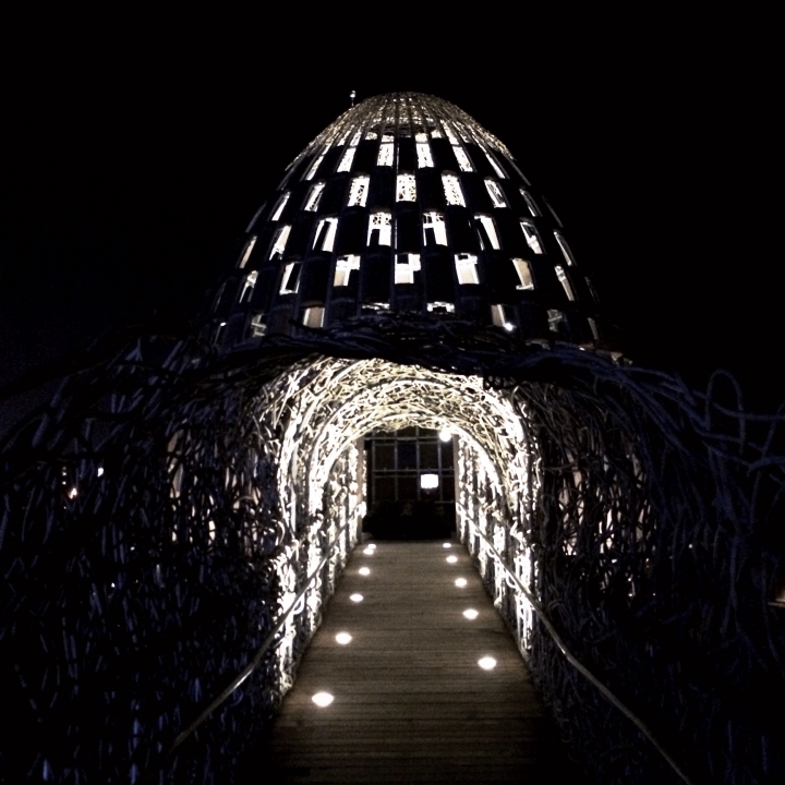 台灣半環島遊記 #1 – 森林之歌，嘉義市