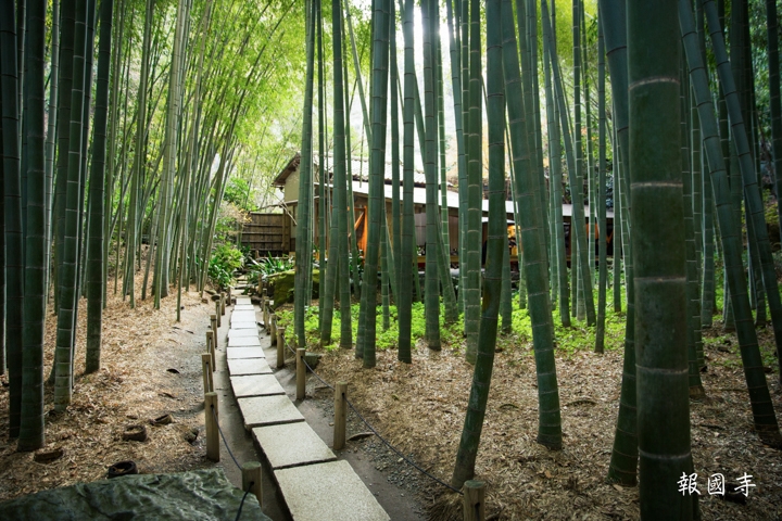 ｛分享｝鎌倉古寺神社探訪