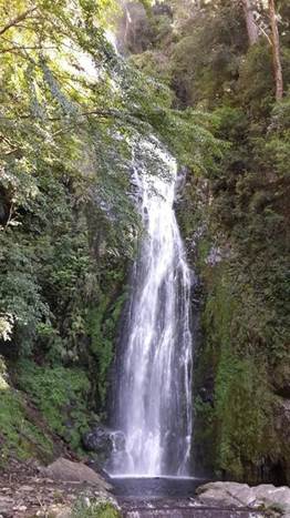 山上初登場：與武陵四秀的大山對話（上）
