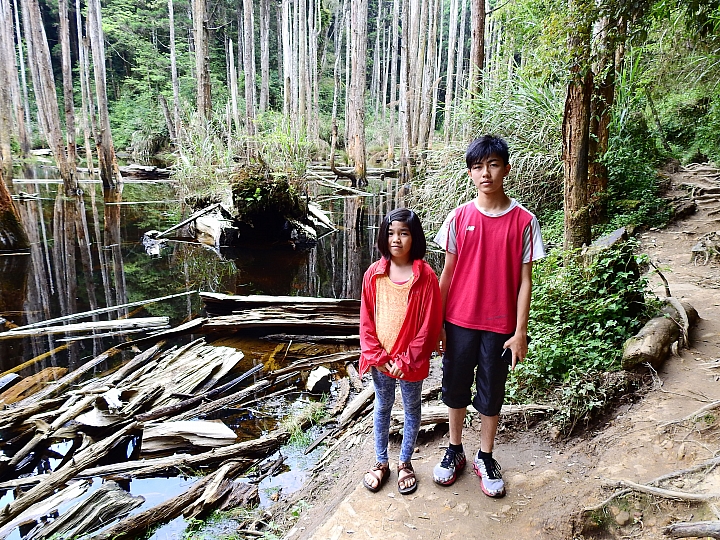 帶著Nikon P900去旅遊：迷霧森林、18度C、熊大庄、涼山瀑布、鳥松濕地及高通通農民市集，P900記錄精彩。