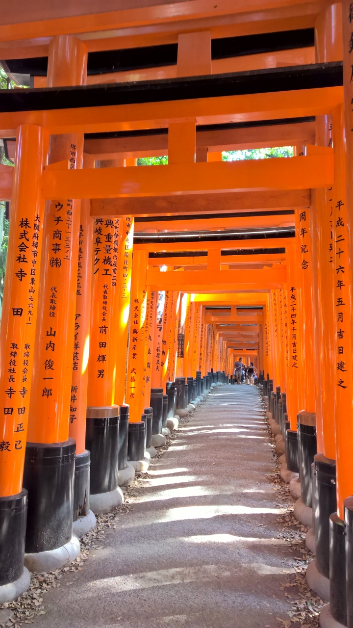 Lumia 1520 日本行照片分享
