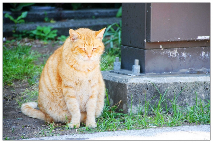 [SKYWAVE TYPE-S]GOLDEN WEEK小旅行DAY-3「江之島散策」
