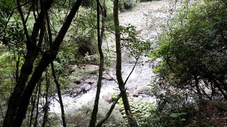 山上初登場：與武陵四秀的大山對話（下）