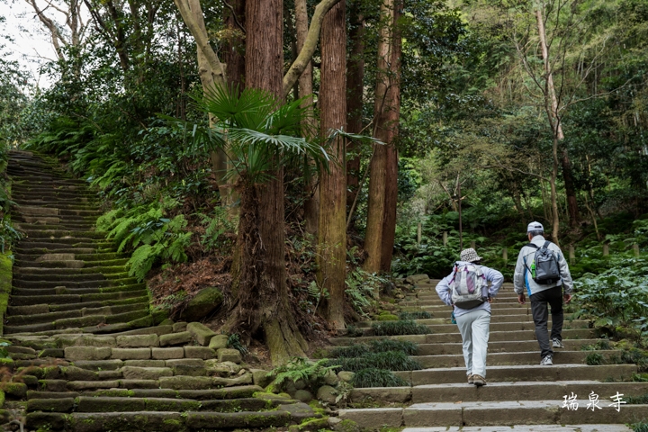 ｛分享｝鎌倉古寺神社探訪