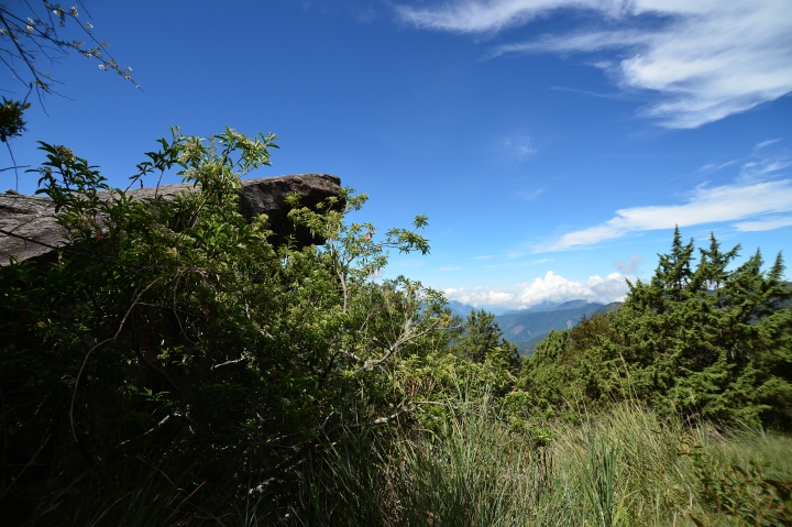 尋找登山杖