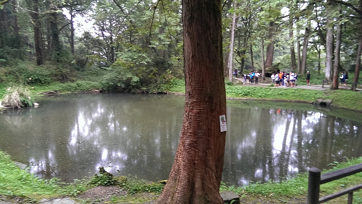 阿里山 姐妹潭