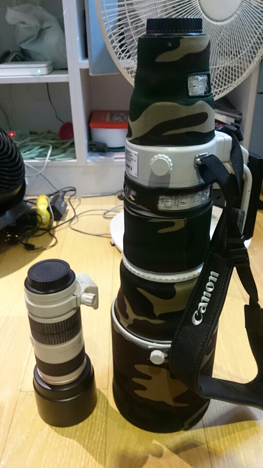 CANON EF 500mm f/4 L IS ll USM 開箱問！