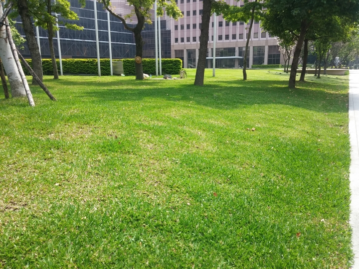 台中的公園vs台北的公園