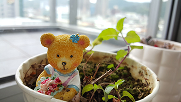 Xperia Z3+與S6 Edge在夏日拍。照。對。決 Oh~Summer~♪