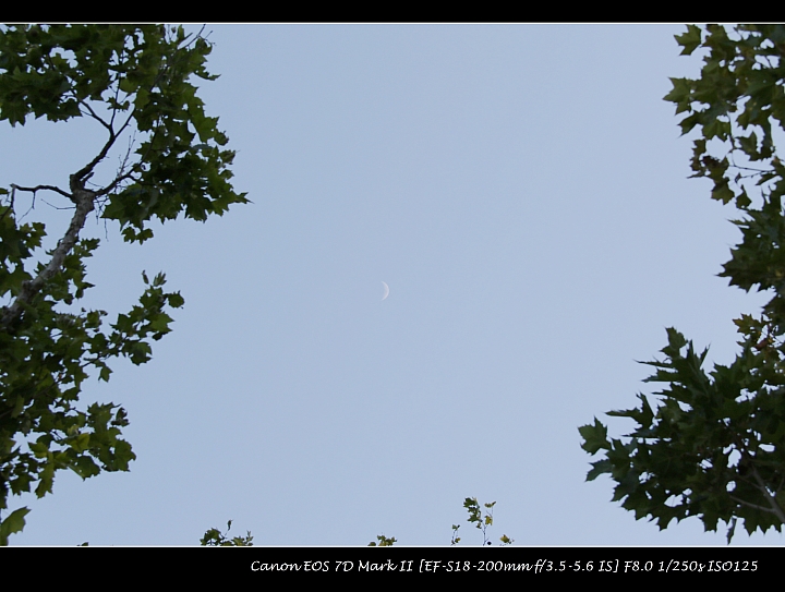 「分享」6月23日更新、圖多 [7D2]星期日～打鳥天!