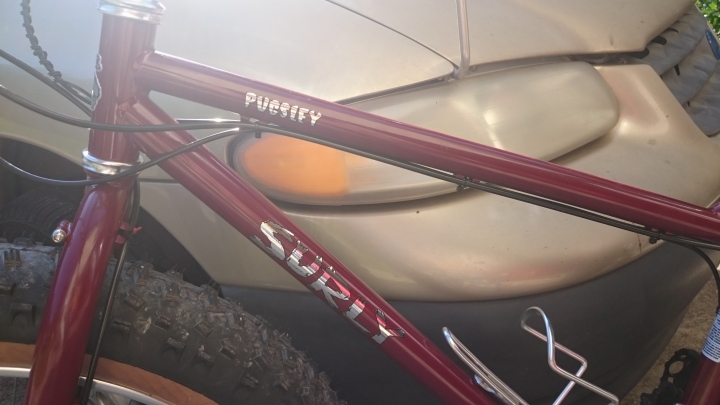 Surly Special Ops Pug 胖胎車