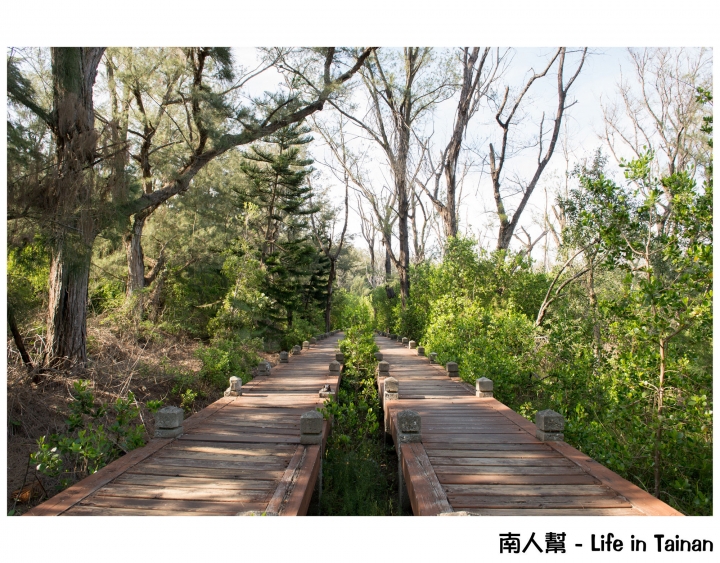 【台南市北門區-景點】台南有海有森林的秘境~~雙春濱海遊憩區