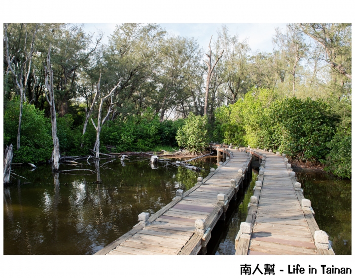 【台南市北門區-景點】台南有海有森林的秘境~~雙春濱海遊憩區