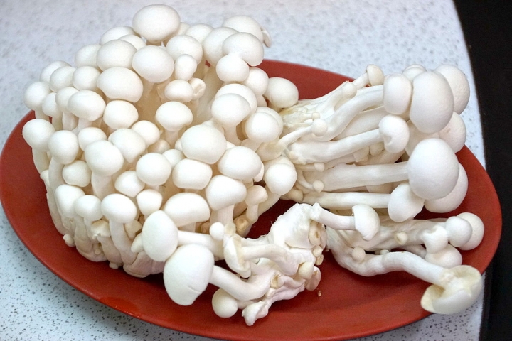 [南區] 林家 廣東沙茶爐