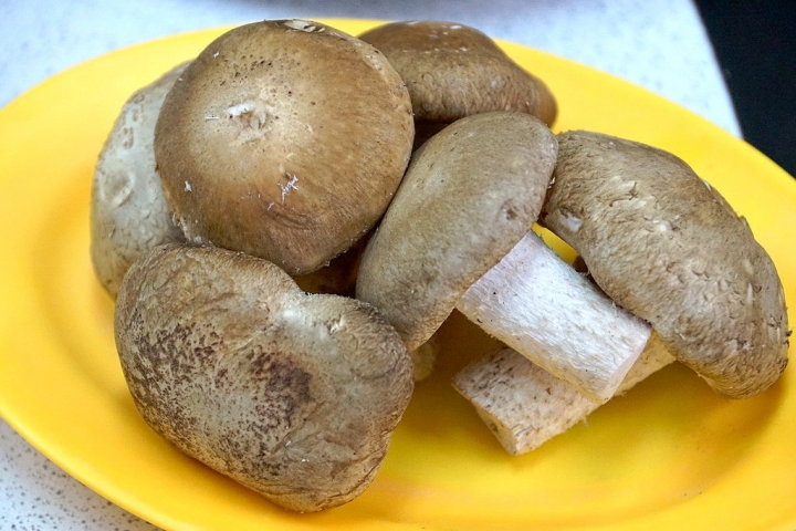 [南區] 林家 廣東沙茶爐