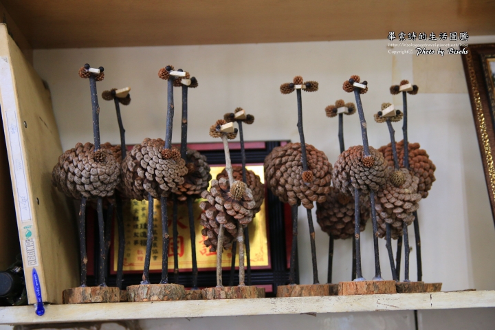 【旅遊】寓教於樂的低碳生態教育之旅─九芎湖休閒農業產區