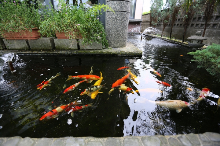 波卡拉渡假會館Pokara Resort‧礁溪森活小確幸