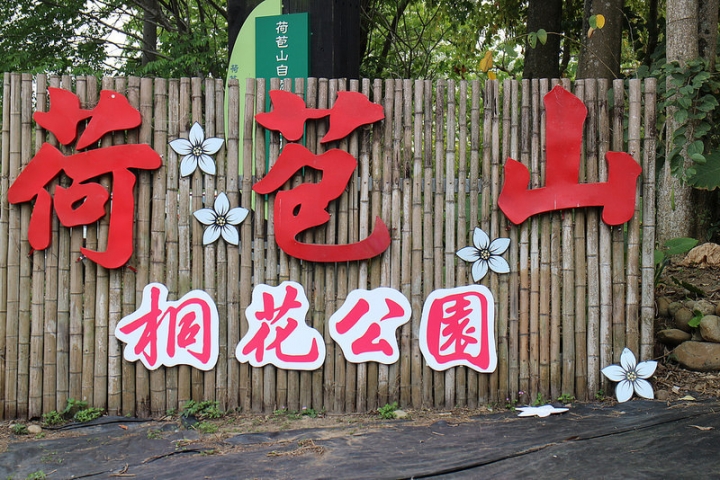【遊記│雲林古坑】客家桐花季@荷苞山桐花公園