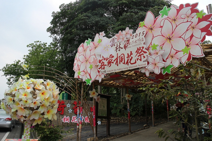 【遊記│雲林古坑】客家桐花季@荷苞山桐花公園
