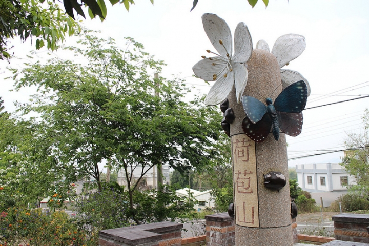 【遊記│雲林古坑】客家桐花季@荷苞山桐花公園