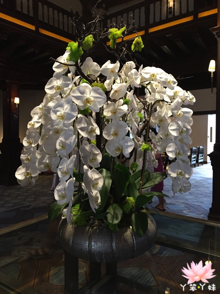 【美國・San Diego・2015】Hotel Del Coronado Brunch