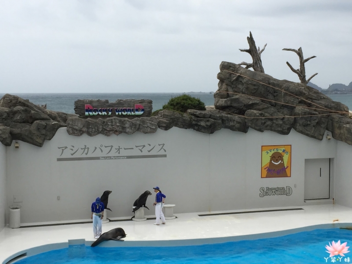 【日本・鴨川・2015】鴨川シーワールド -海洋世界