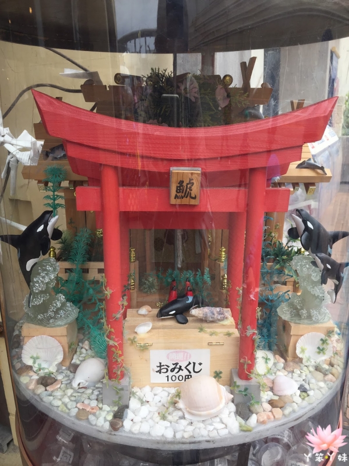 【日本・鴨川・2015】鴨川シーワールド -海洋世界