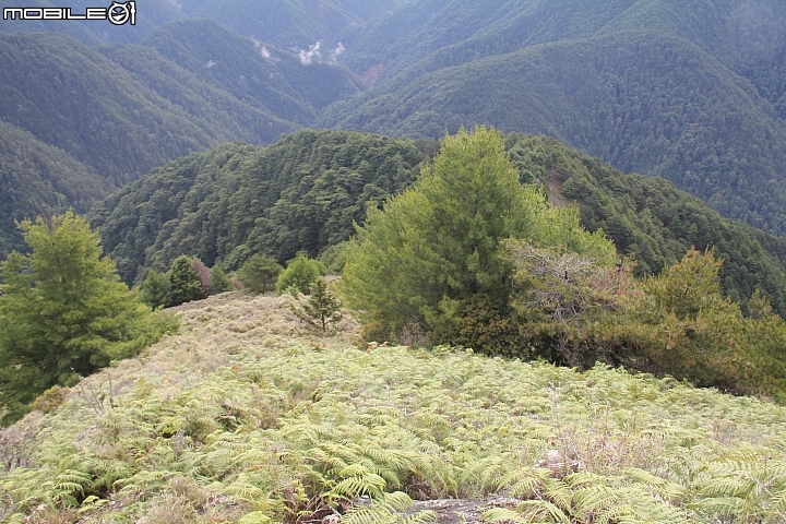 2015.07.27.28-玉山後四峰(健腳2天1夜)(下冰雹.打雷-棄東小南山)