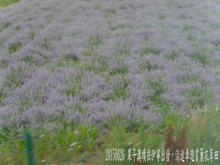 20150626北疆12日遊第7日