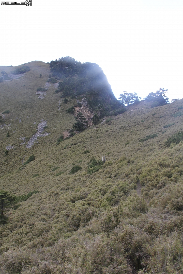 2015.07.27.28-玉山後四峰(健腳2天1夜)(下冰雹.打雷-棄東小南山)