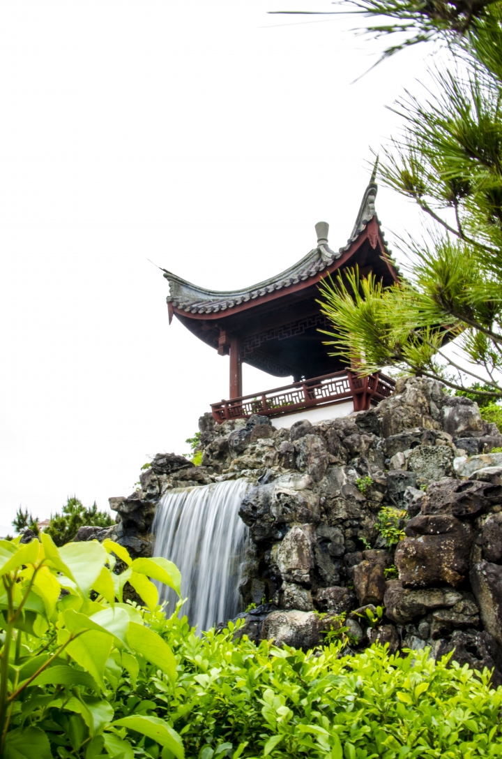 [分享] 3年．菜鳥學生