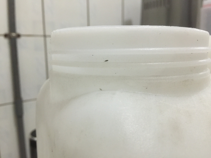 求解:一般家用 20L塑膠儲水桶 裝完水放置廚房隔天瓶蓋口都有不知名小蟲 不知道該怎麼解!