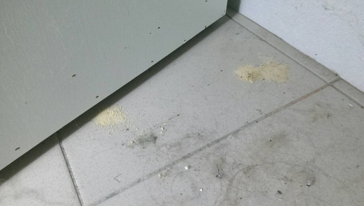 衣櫥下黃白色粉末，請問這是什麼？