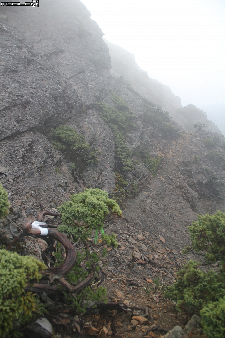 2015.07.27.28-玉山後四峰(健腳2天1夜)(下冰雹.打雷-棄東小南山)
