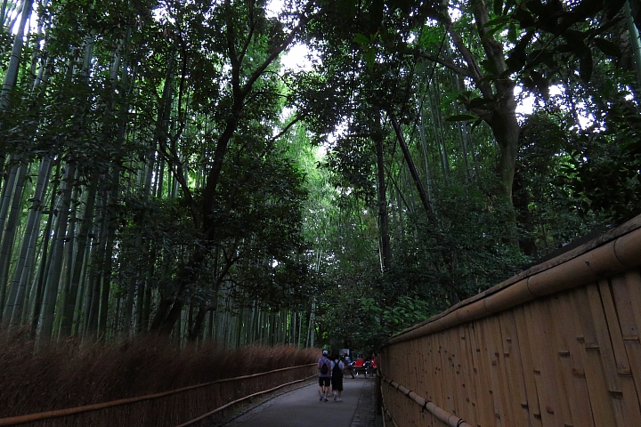 日本京都五日自由行---DAY3 & DAY4 &DAY5