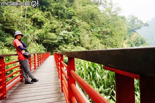 台北長征阿里山-三陽Rv270-仲夏避暑趣