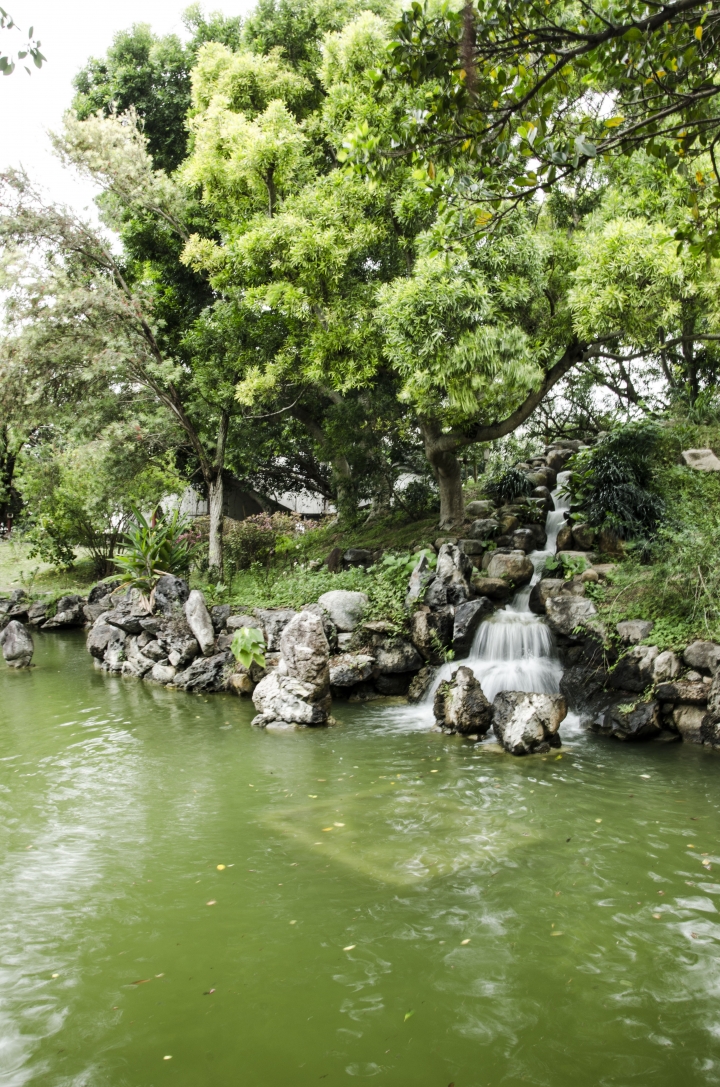 [分享] 3年．菜鳥學生
