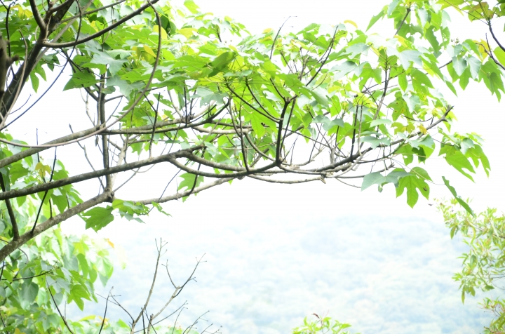 [分享] 3年．菜鳥學生