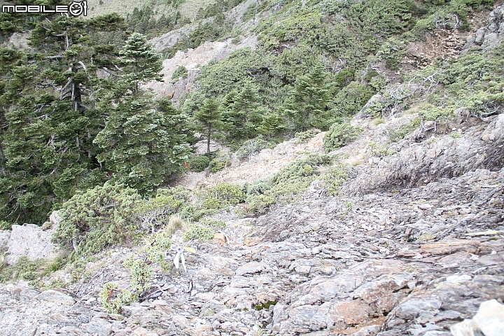 2015.07.27.28-玉山後四峰(健腳2天1夜)(下冰雹.打雷-棄東小南山)