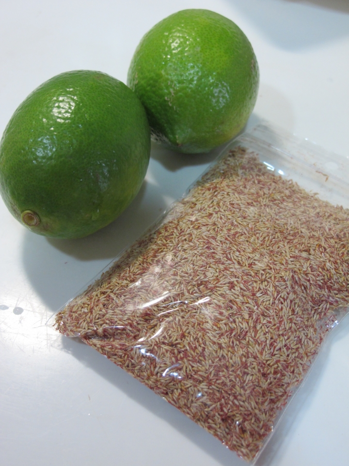 [食譜] 自製檸檬愛玉。不用手搓，果汁機可完成!