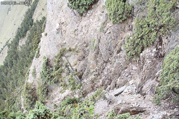2015.07.27.28-玉山後四峰(健腳2天1夜)(下冰雹.打雷-棄東小南山)