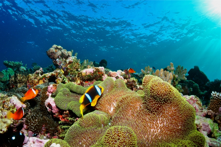 (分享) 我的環球流浪之旅 (一）
