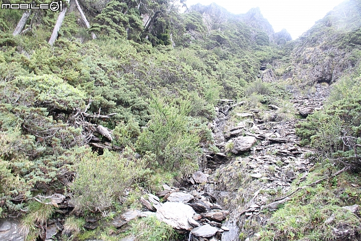 2015.07.27.28-玉山後四峰(健腳2天1夜)(下冰雹.打雷-棄東小南山)