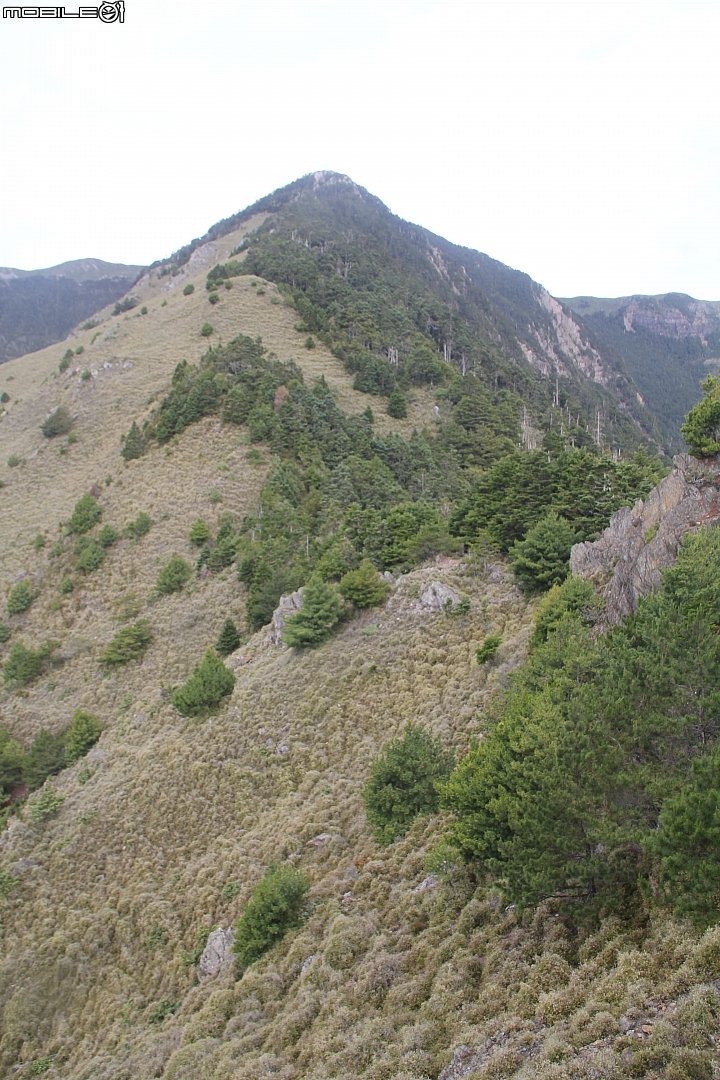 2015.07.27.28-玉山後四峰(健腳2天1夜)(下冰雹.打雷-棄東小南山)