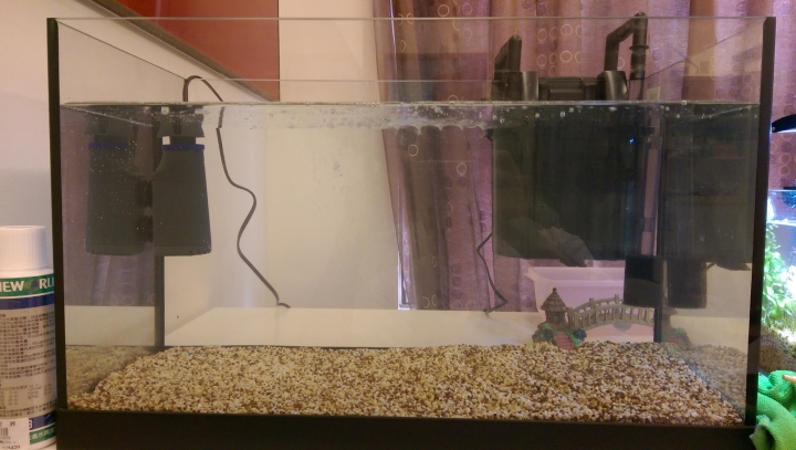 新手第一次養魚缸