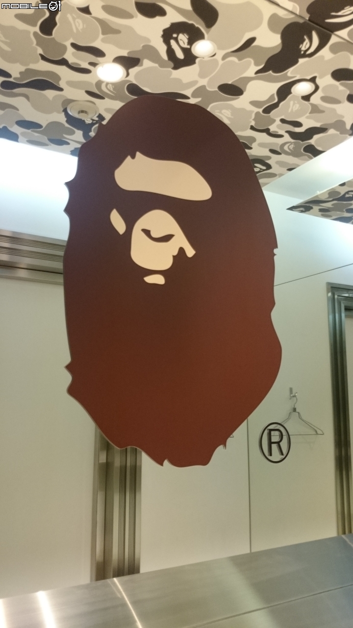 [分享] A BATHING APE 迷彩棉褲